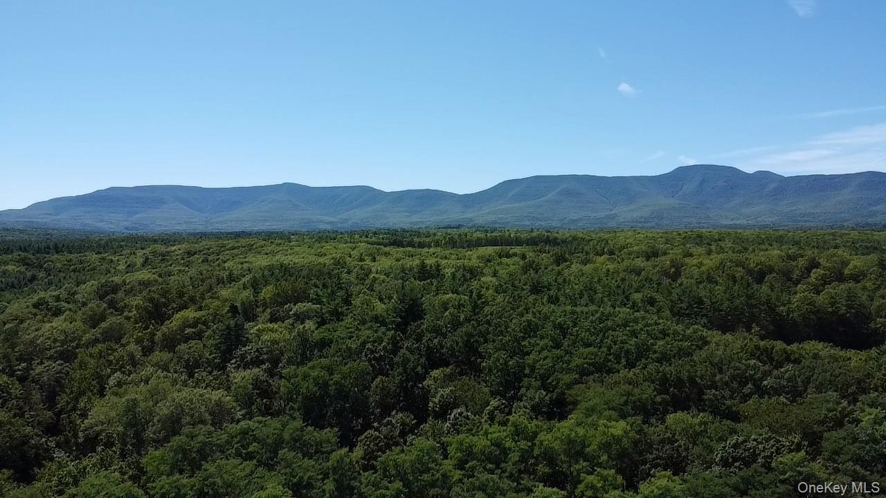 36 Jones Street Cairo, NY 12413 - Photo 28 of 32 a view of an mountain and outdoor space