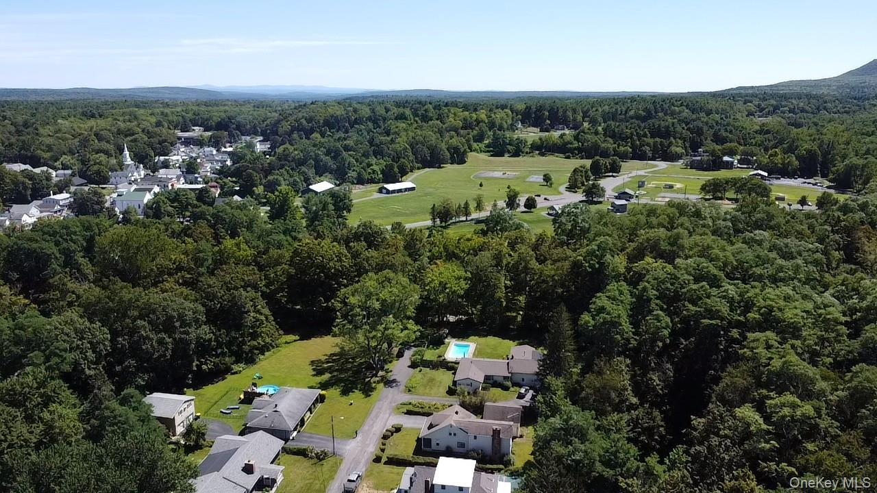 36 Jones Street Cairo, NY 12413 - Photo 29 of 32 an aerial view of a houses with a yard