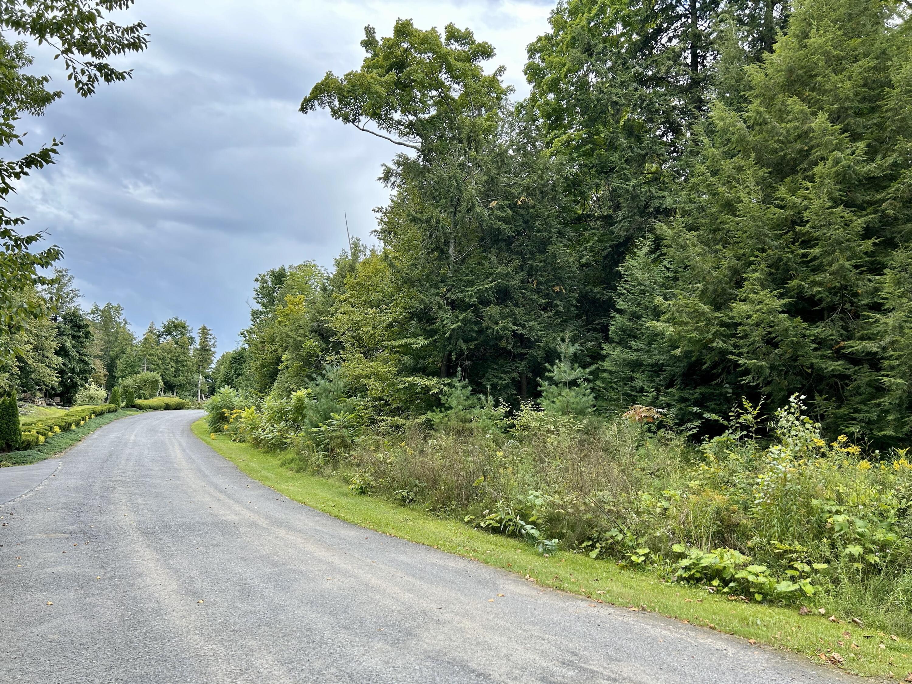 0 Bluff Point Drive Plattsburgh, NY 12901 - Photo 4 of 21 5