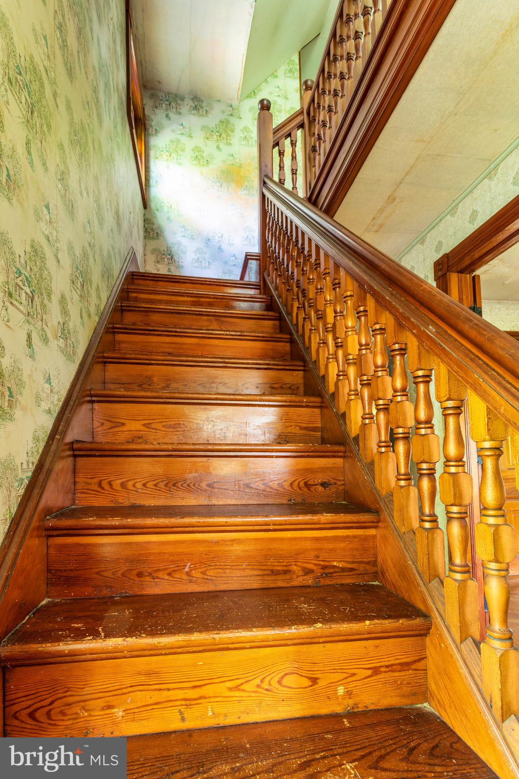 290 Daretown Road Elmer, NJ 08318 - Photo 20 of 41 Gallery Image 20