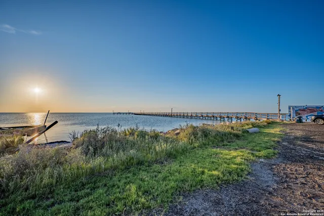 a view of a field with plants and trees in the background