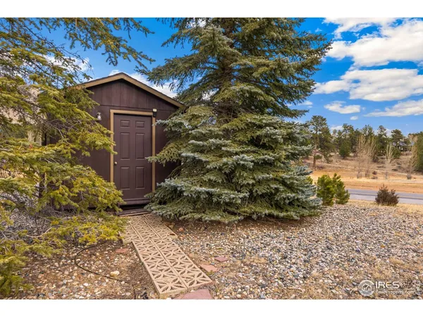 a view of a back yard with an tree