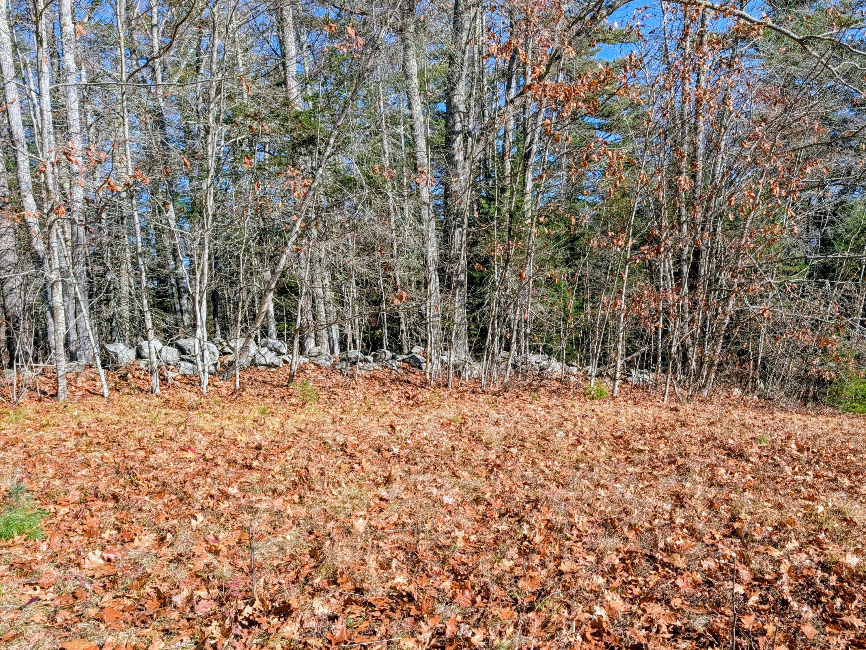 0 West Hamlet Road Newcastle, ME 04553 - Photo 5 of 11 PXL_20251115_155554158~2