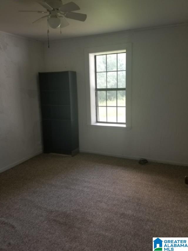 163 Prater Road Weogufka, AL 35183 - Photo 7 of 7