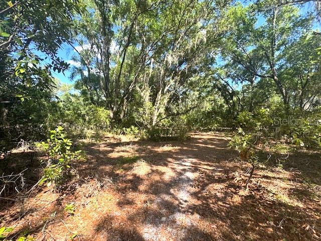 4140 South Kenvera Loop Inverness, FL 34450 - Photo 1 of 1