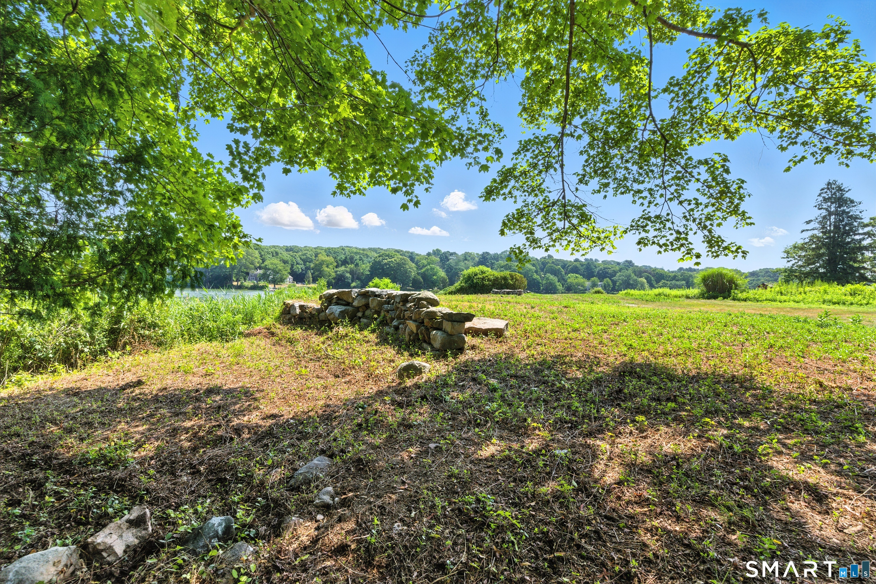 88 Cove Road Stonington, CT 06378 - Photo 18 of 27 a view of a large yard with plants and a large tree