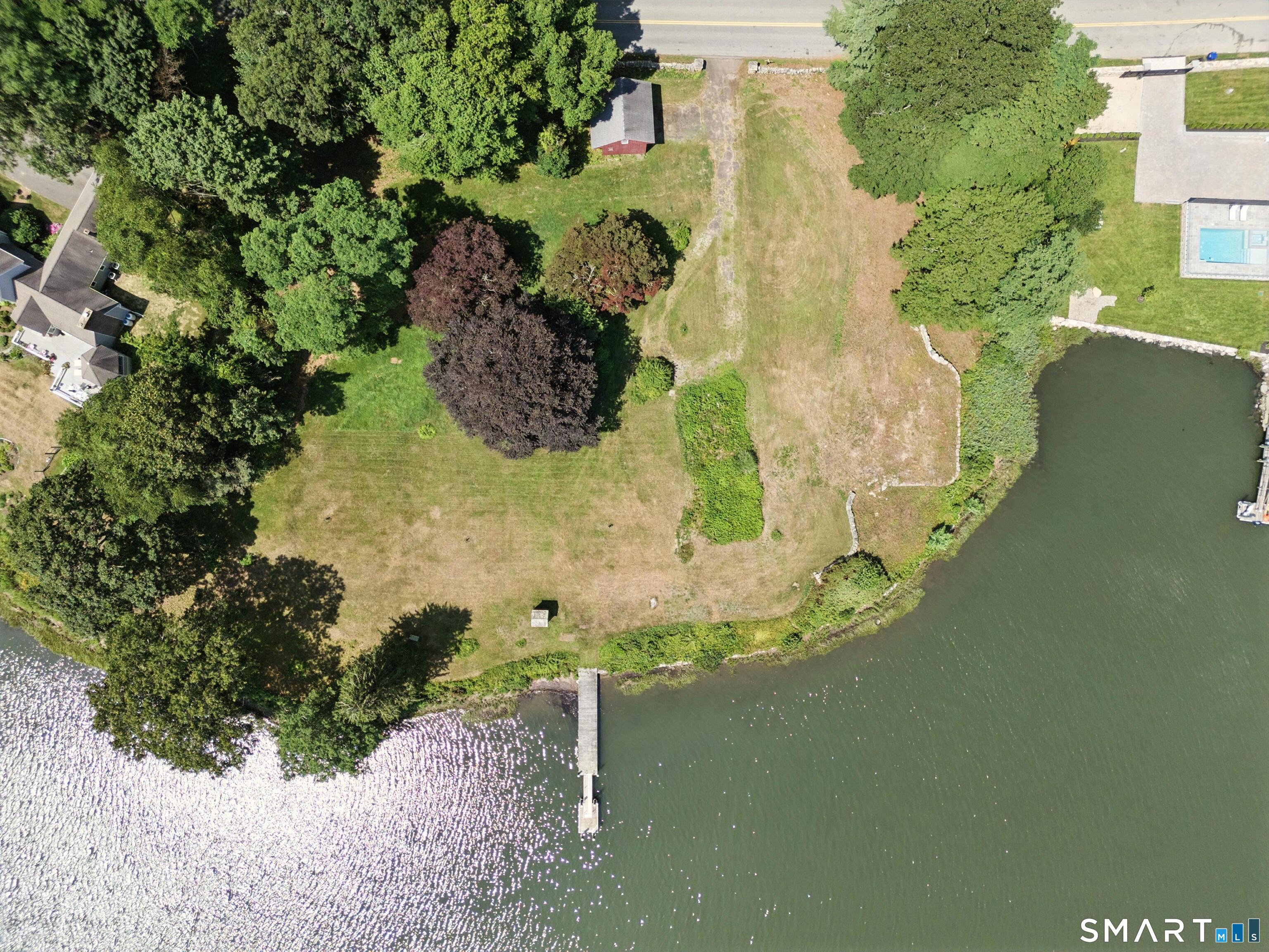 88 Cove Road Stonington, CT 06378 - Photo 2 of 27 a close up of a plant in a garden