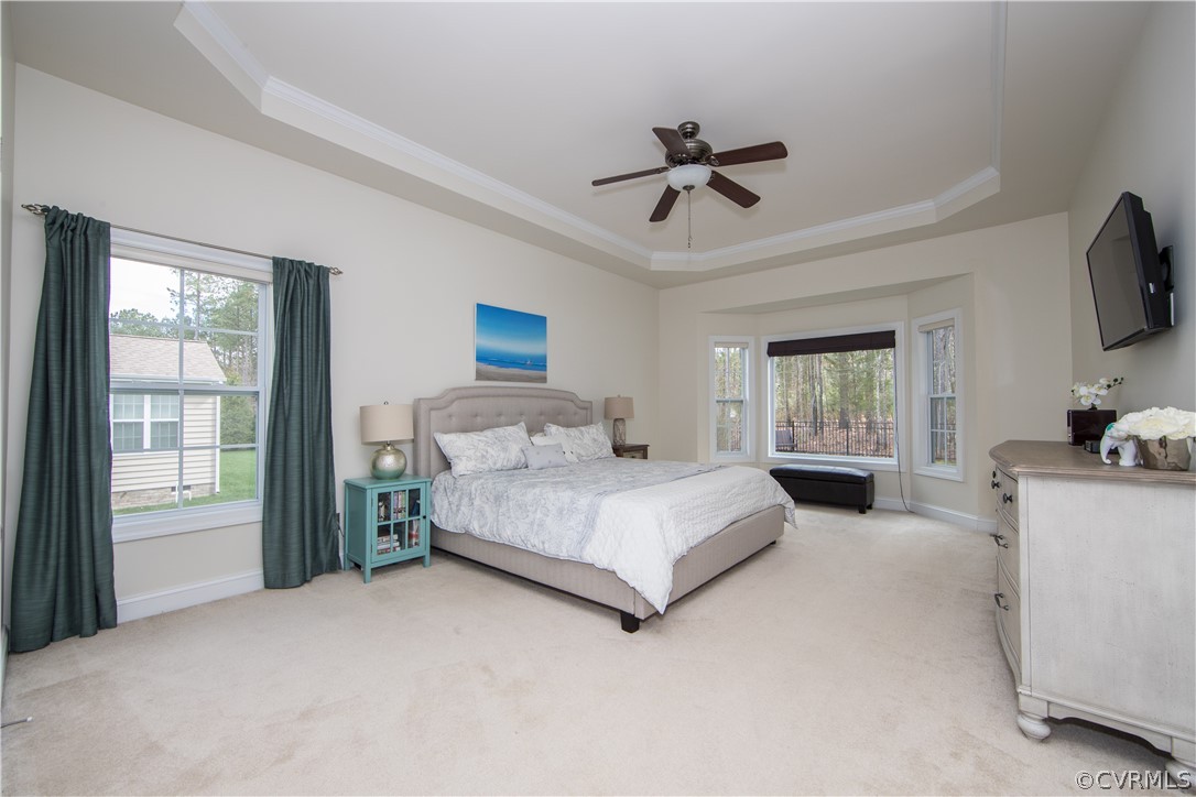 16107 Longlands Road Chesterfield, VA 23832 - Photo 7 of 19 Master Bedroom