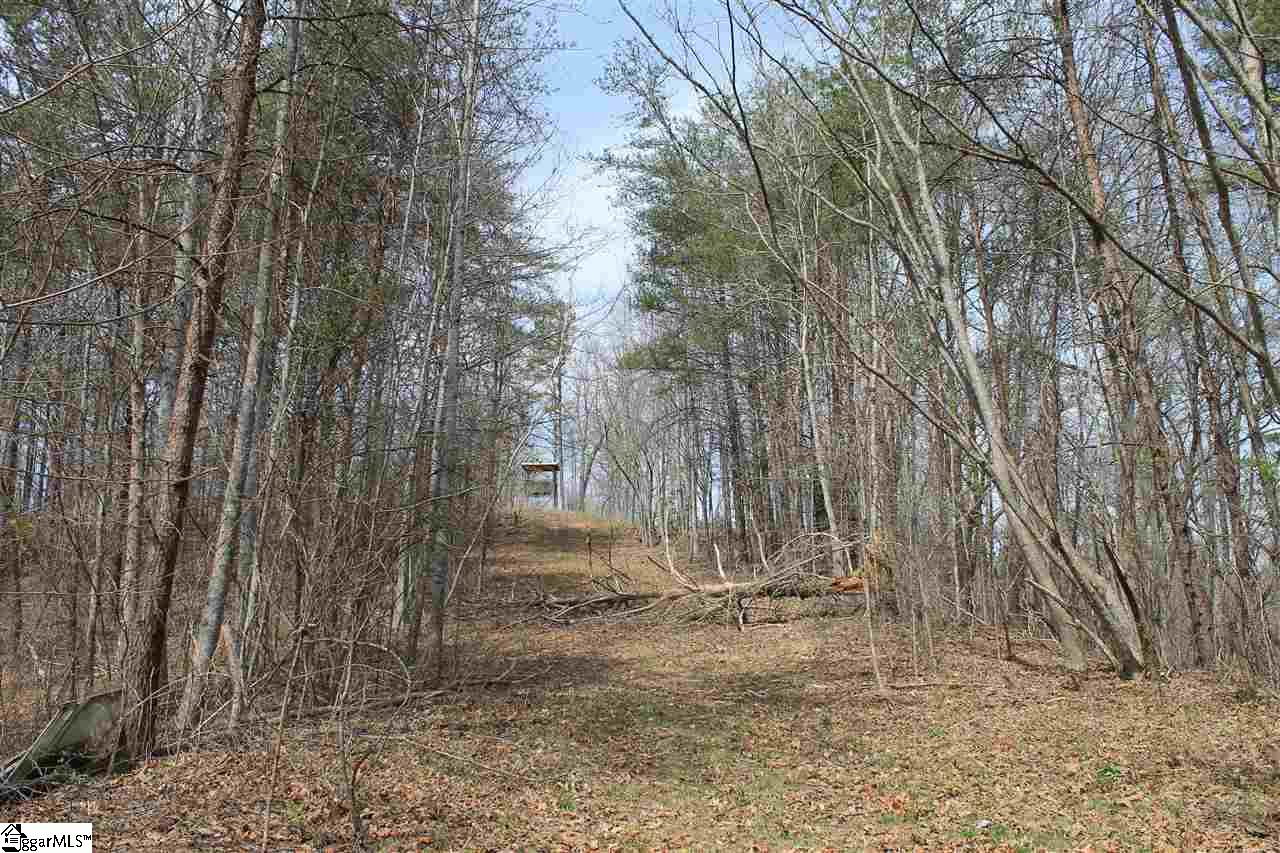 20 Ridge Springs Road Pickens, SC 29671 - Photo 22 of 25