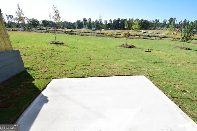 $2,300 | 82 Sepia Oak Drive, Newnan, GA 30263