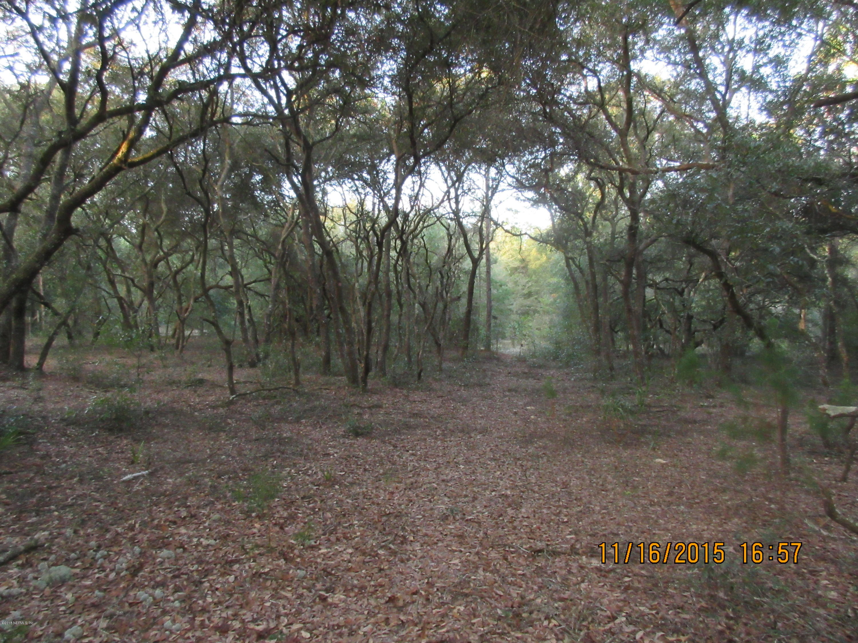 150 Robin Road Pomona Park, FL 32181 - Photo 1 of 7 22.4 acres