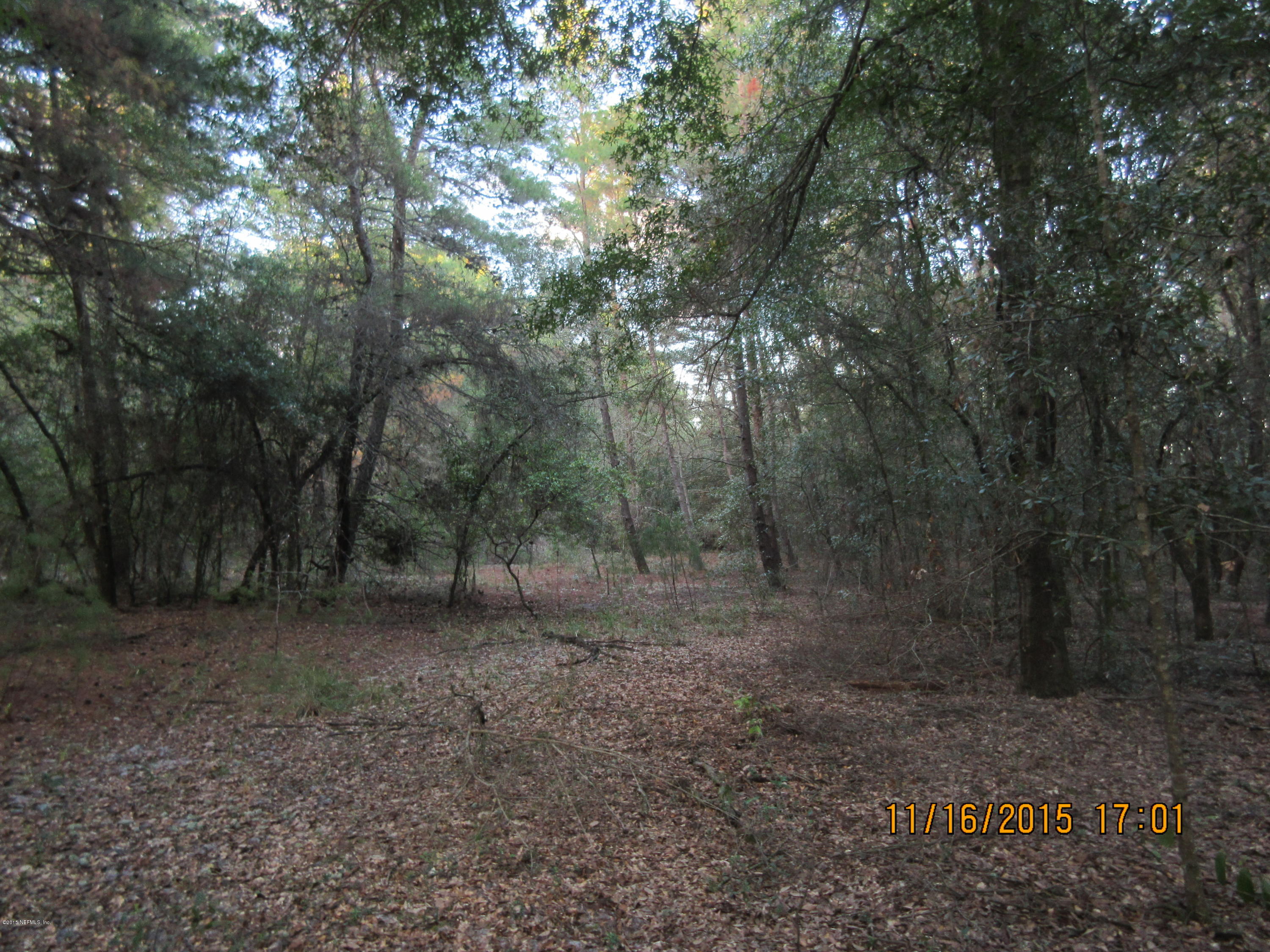 150 Robin Road Pomona Park, FL 32181 - Photo 3 of 7 Beautiful Oak Trees