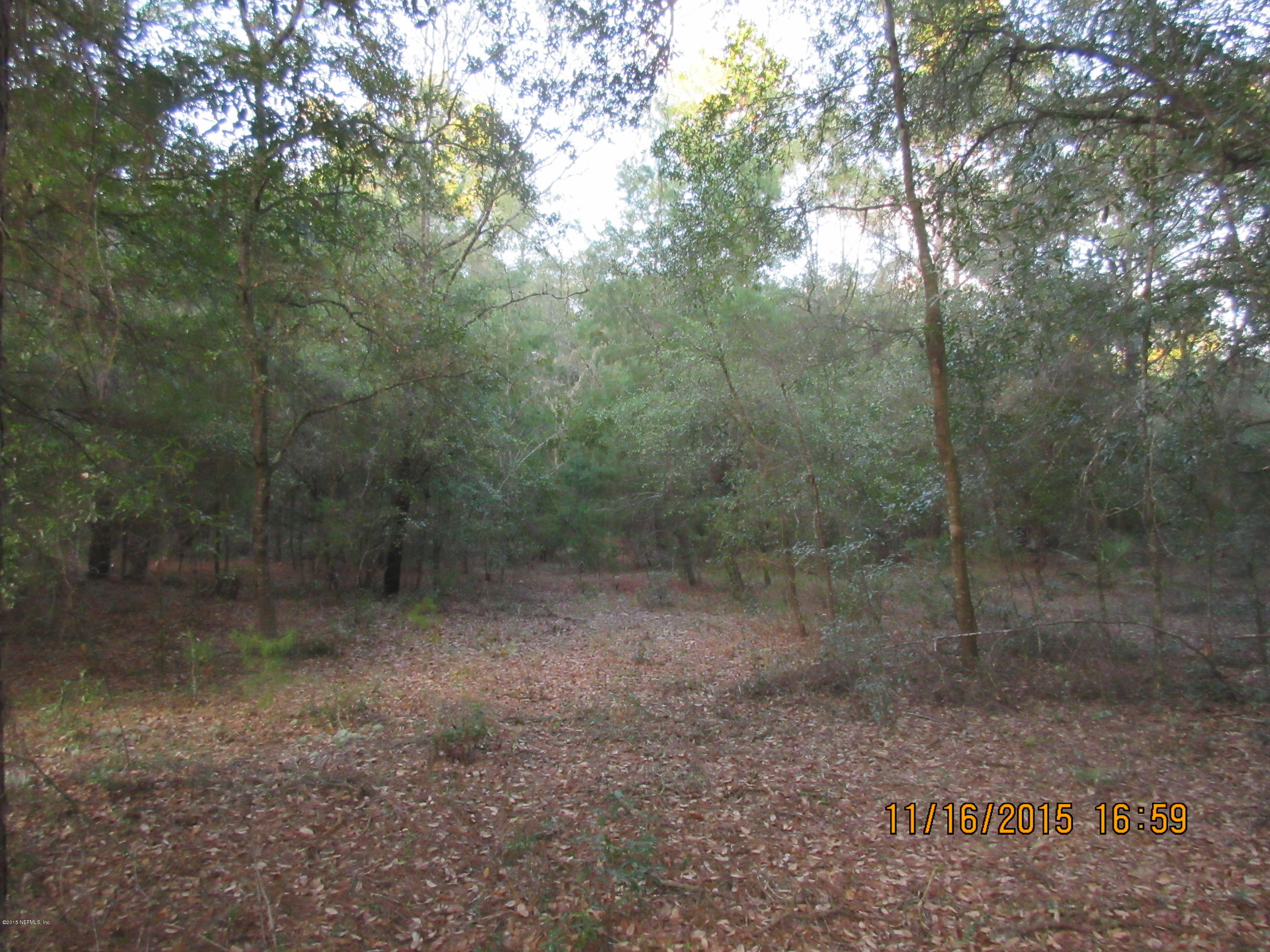 150 Robin Road Pomona Park, FL 32181 - Photo 5 of 7 Great Homesite-Plenty of Privacy