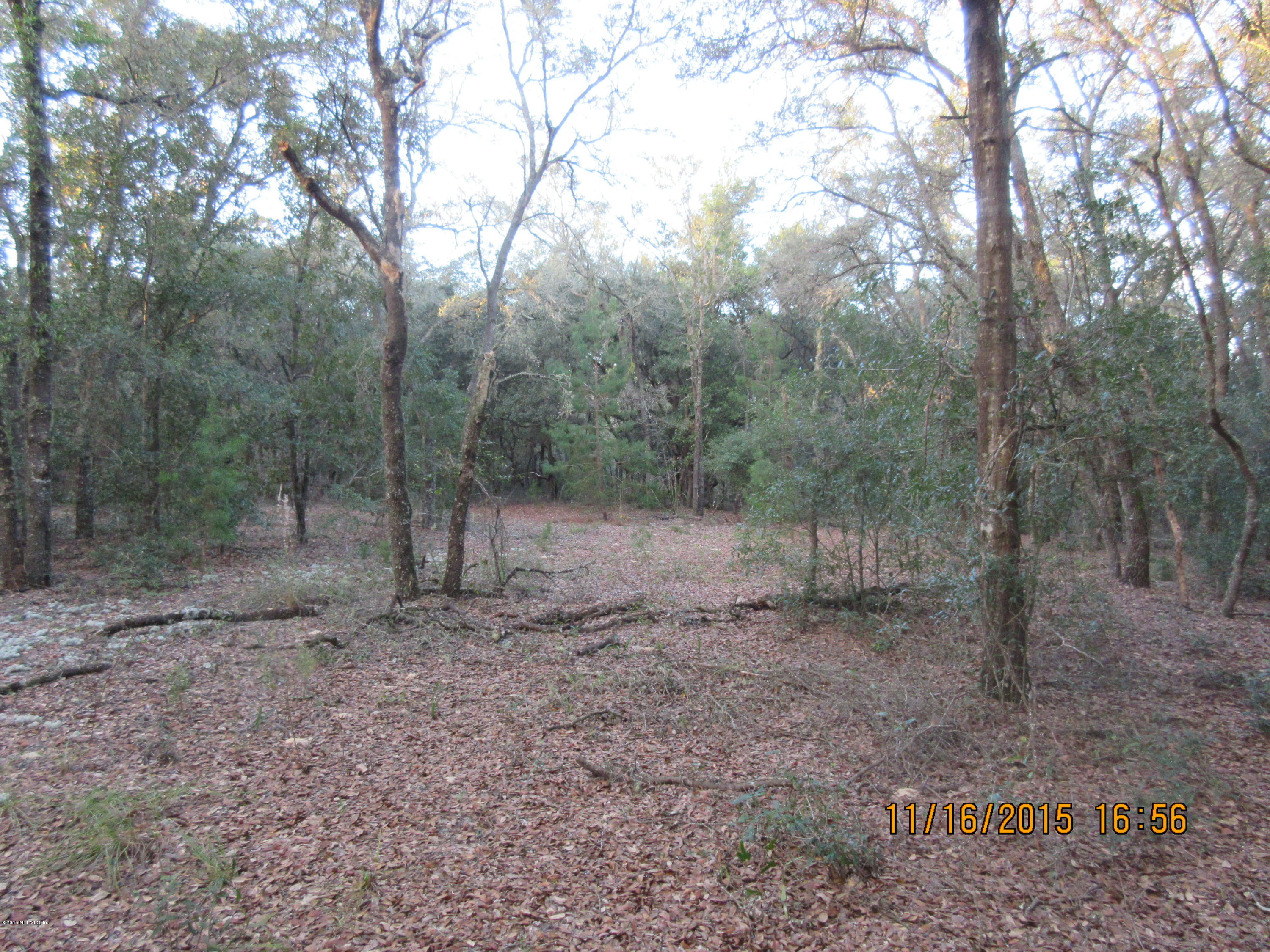 150 Robin Road Pomona Park, FL 32181 - Photo 6 of 7 High and Dry