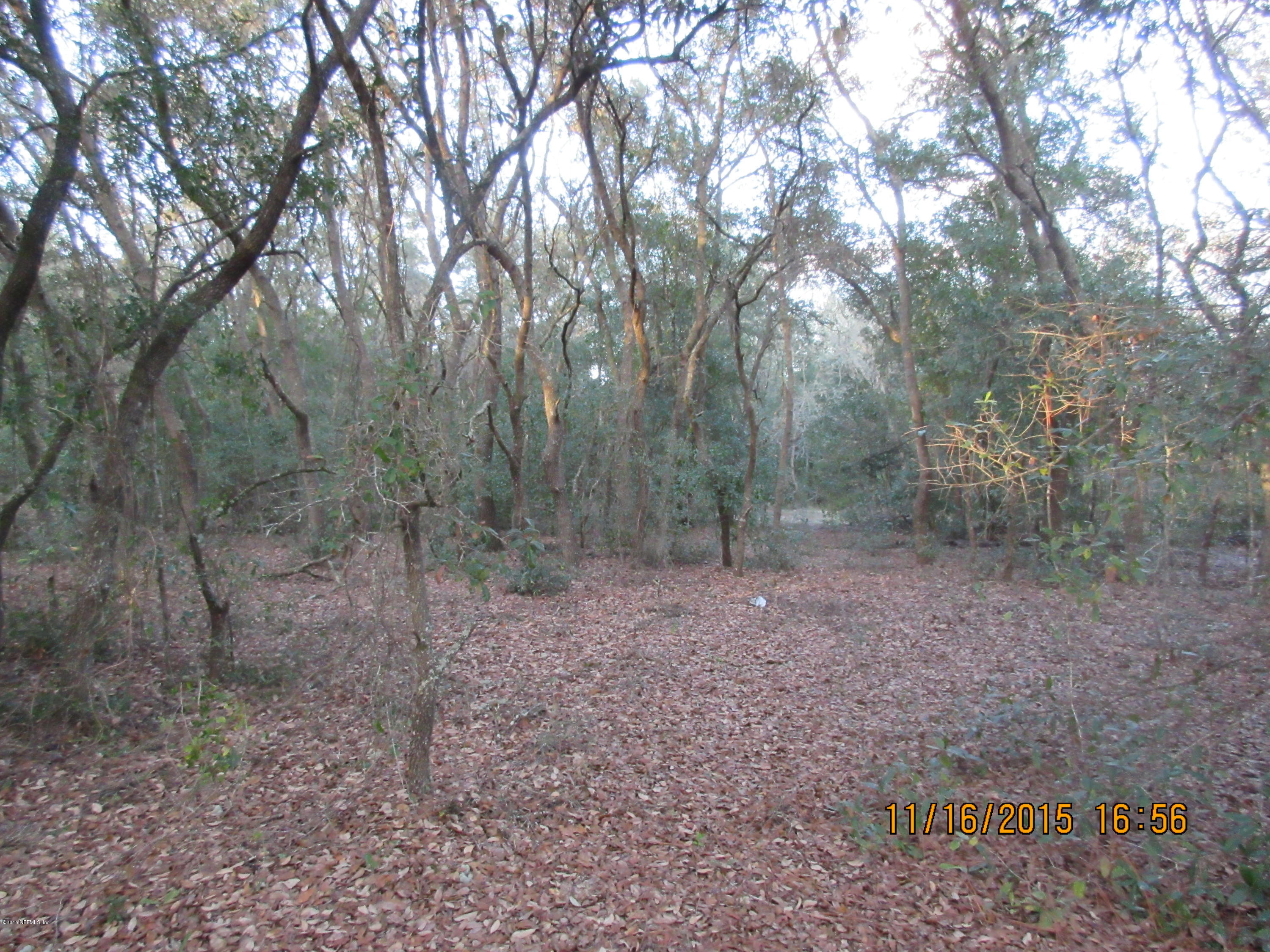 150 Robin Road Pomona Park, FL 32181 - Photo 7 of 7 22.4 acres