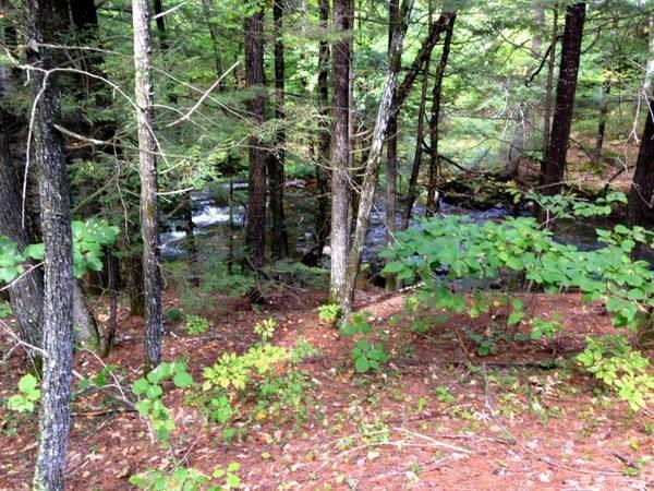 0 Tolman Road Harrison, ME 04040 - Photo 5 of 10 There is over 1500' on the river so...
