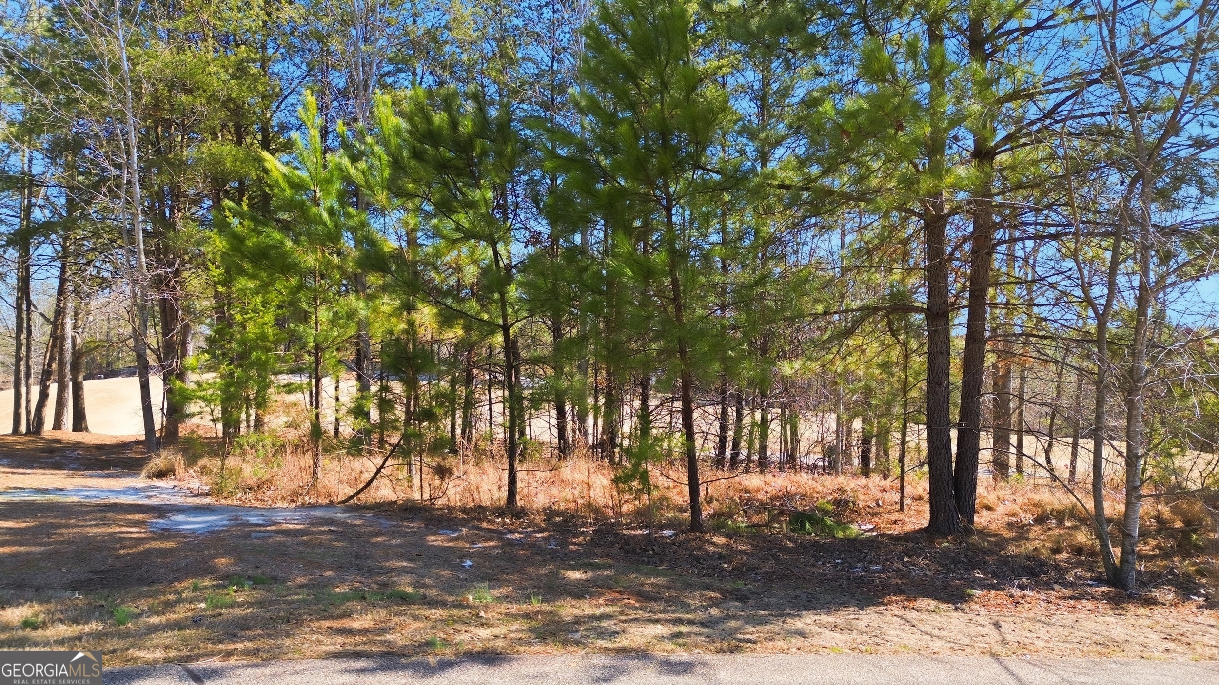 101 Cottage Lane Toccoa, GA 30577 - Photo 2 of 21 a view of a yard with large tree