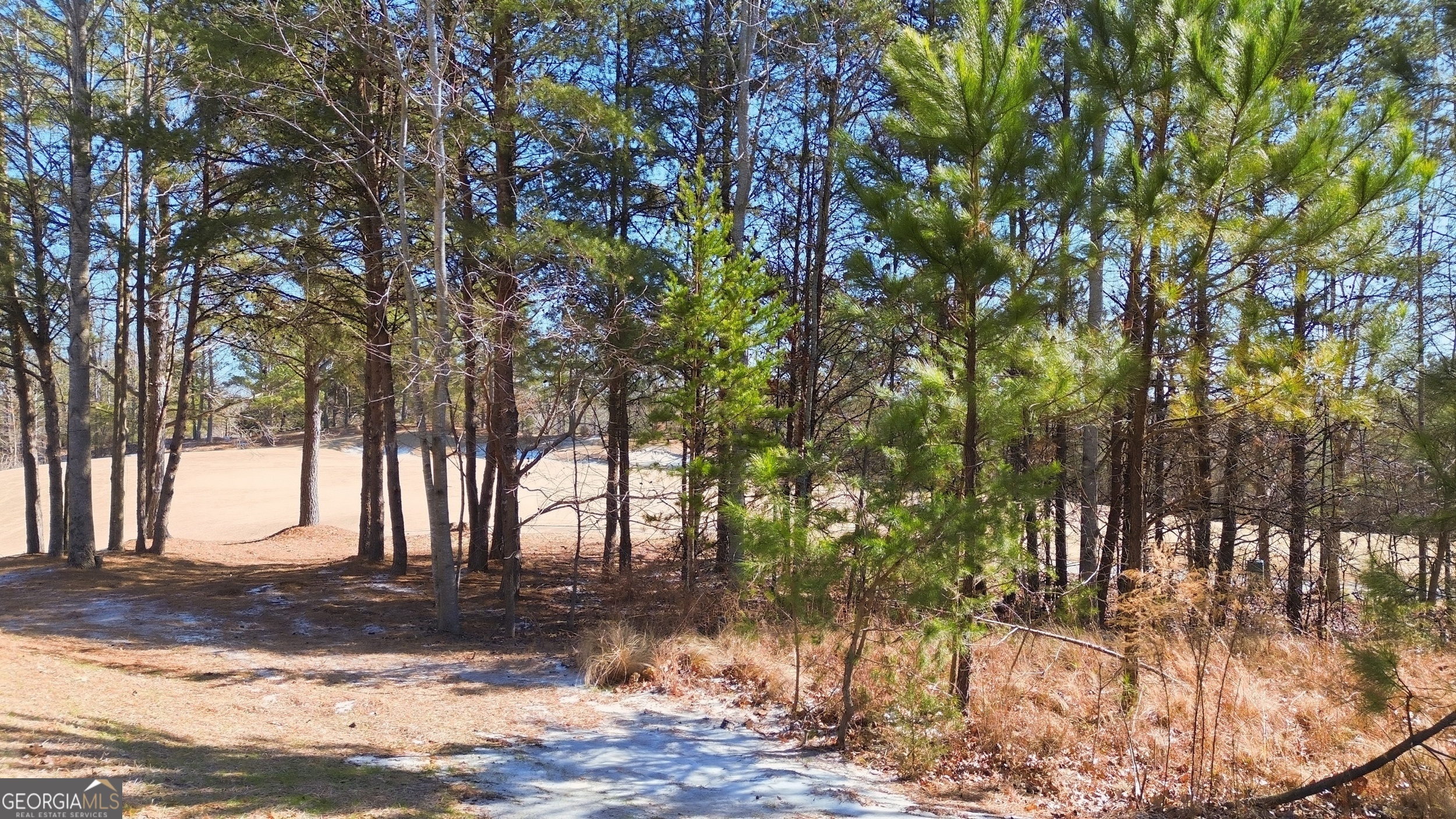 101 Cottage Lane Toccoa, GA 30577 - Photo 3 of 21 a view of a yard with a tree