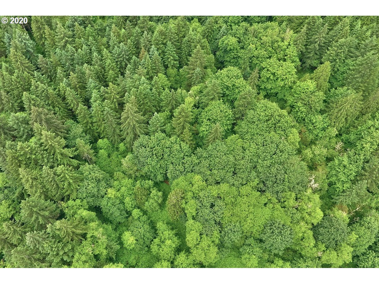 Dart Creek Rd Street St. Helens, OR 97051 - Photo 2 of 30 Gallery Image 2
