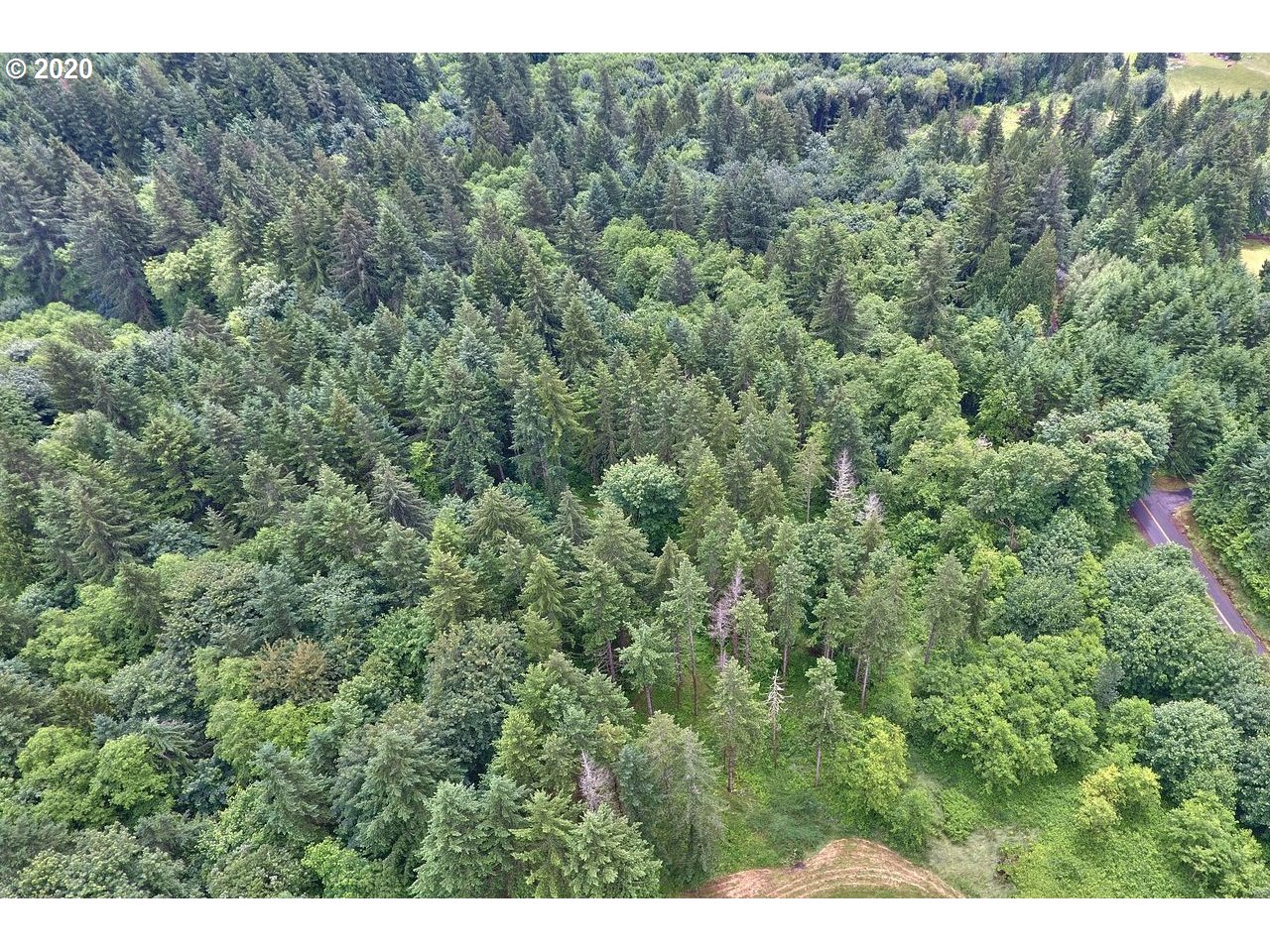 Dart Creek Rd Street St. Helens, OR 97051 - Photo 12 of 30 Gallery Image 12