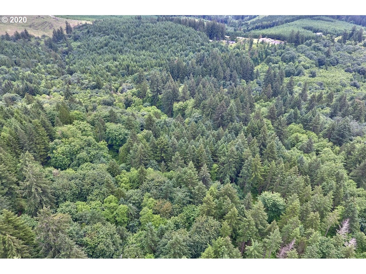 Dart Creek Rd Street St. Helens, OR 97051 - Photo 13 of 30 Gallery Image 13