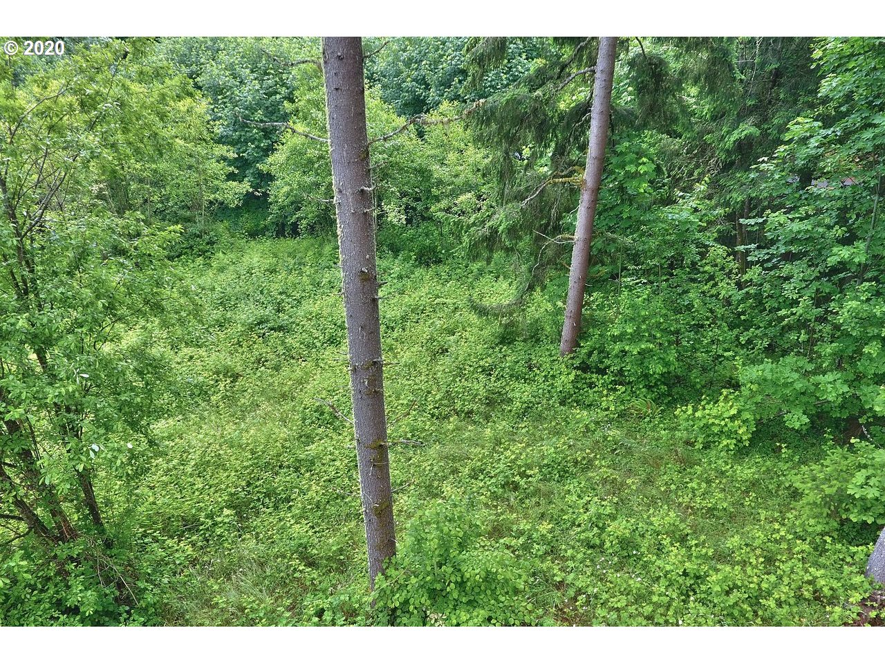 Dart Creek Rd Street St. Helens, OR 97051 - Photo 14 of 30 Gallery Image 14