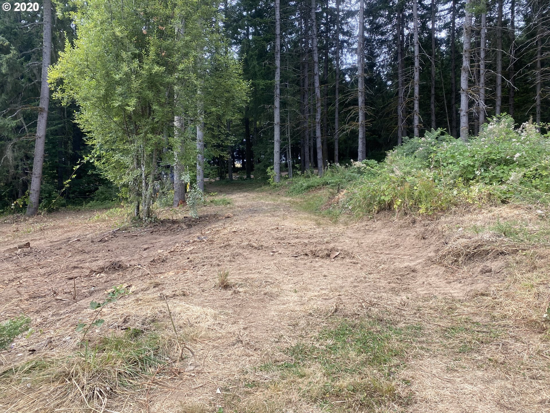 Dart Creek Rd Street St. Helens, OR 97051 - Photo 15 of 30 Gallery Image 15
