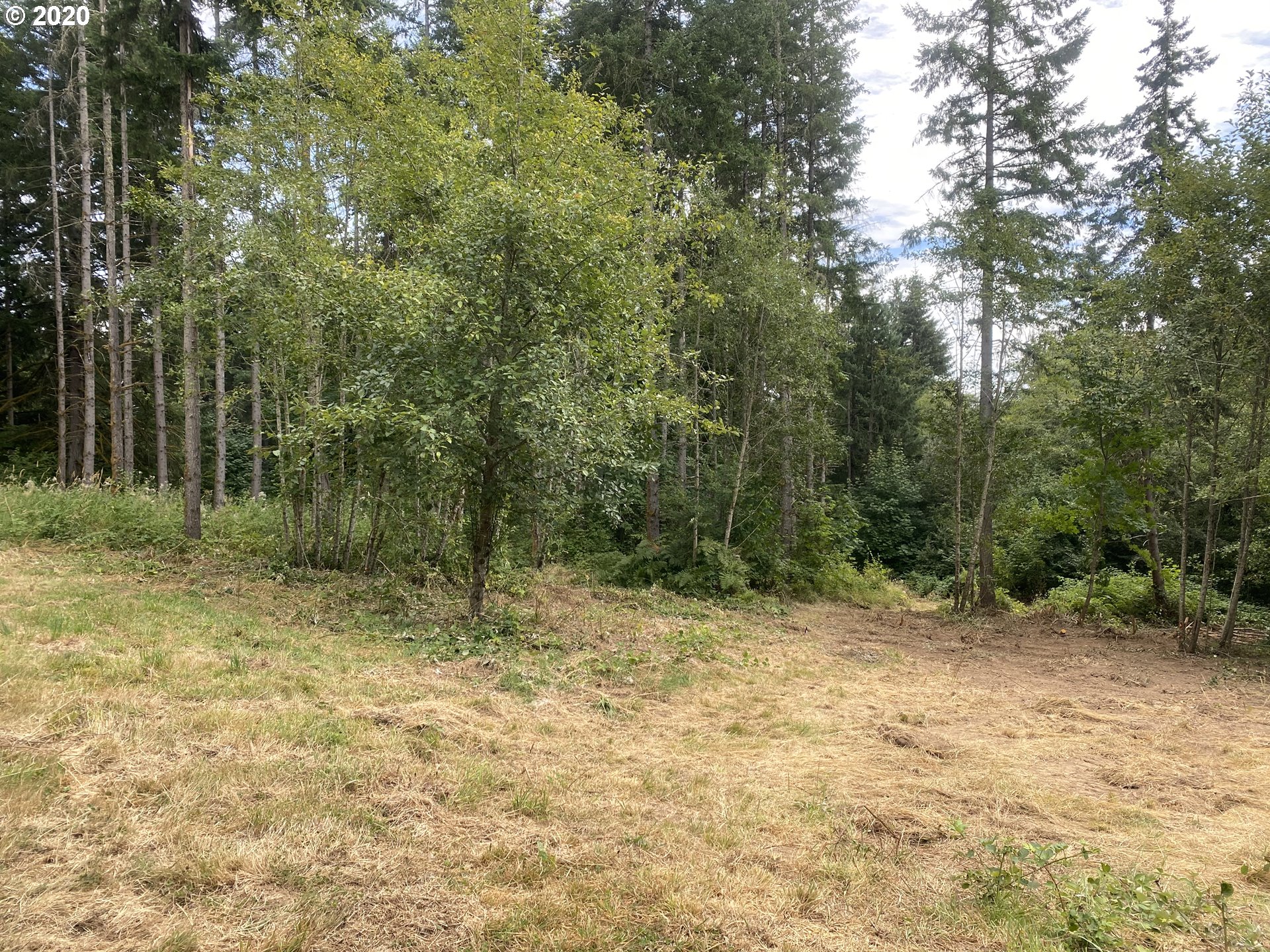 Dart Creek Rd Street St. Helens, OR 97051 - Photo 18 of 30 Gallery Image 18