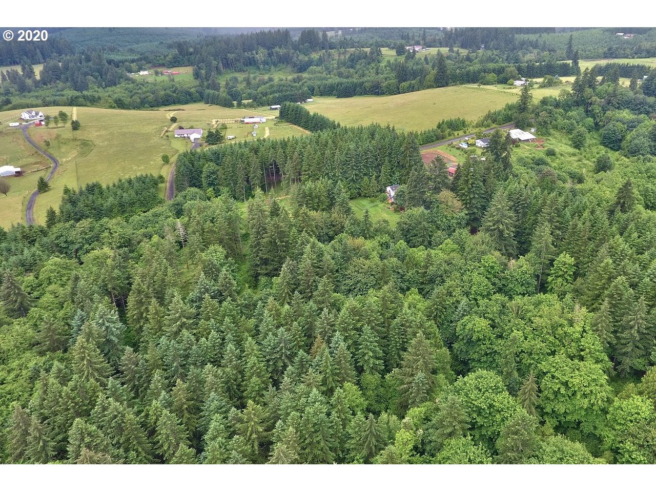 Dart Creek Rd Street St. Helens, OR 97051 - Photo 3 of 30 Gallery Image 3