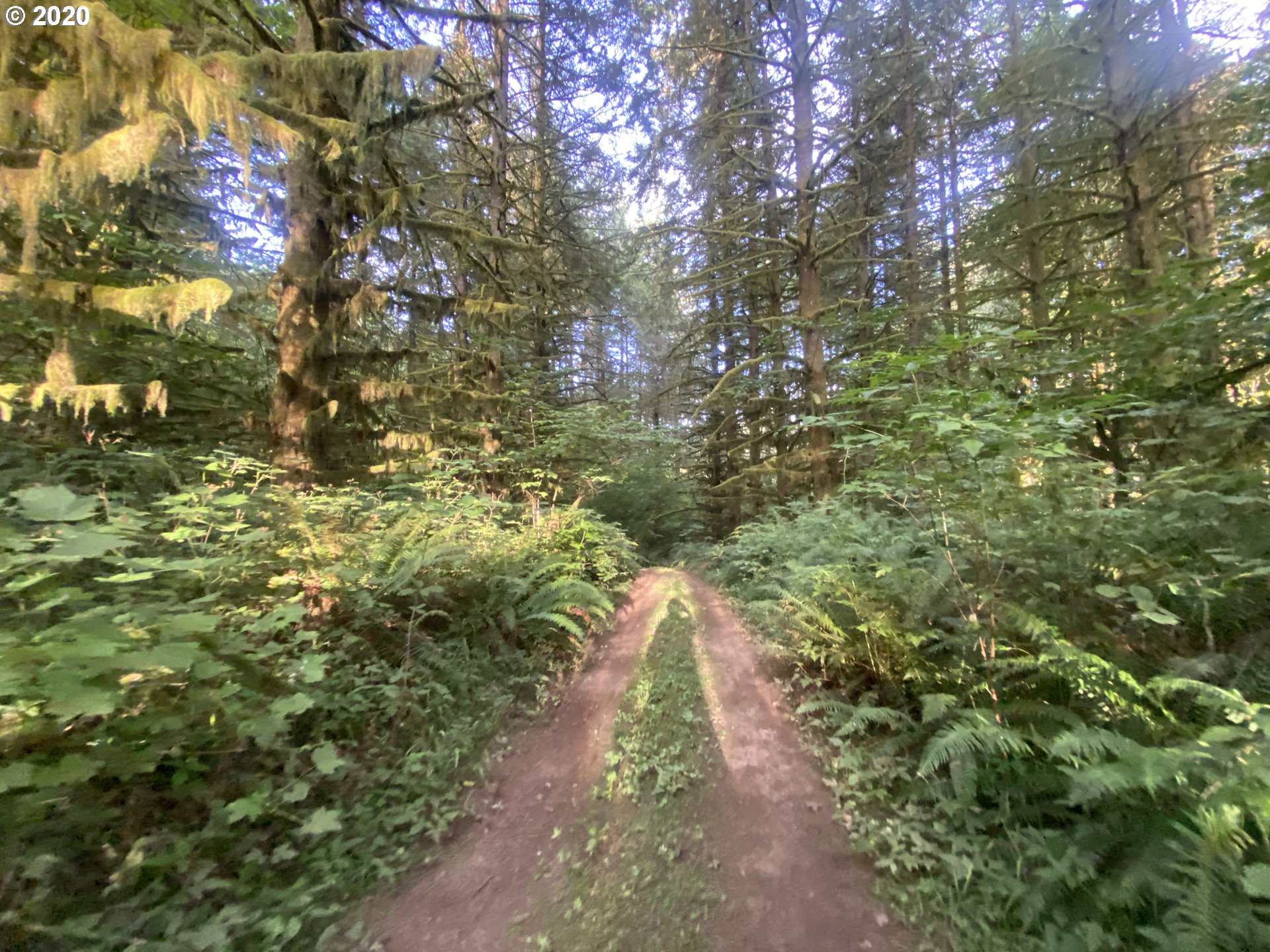Dart Creek Rd Street St. Helens, OR 97051 - Photo 21 of 30 Gallery Image 21