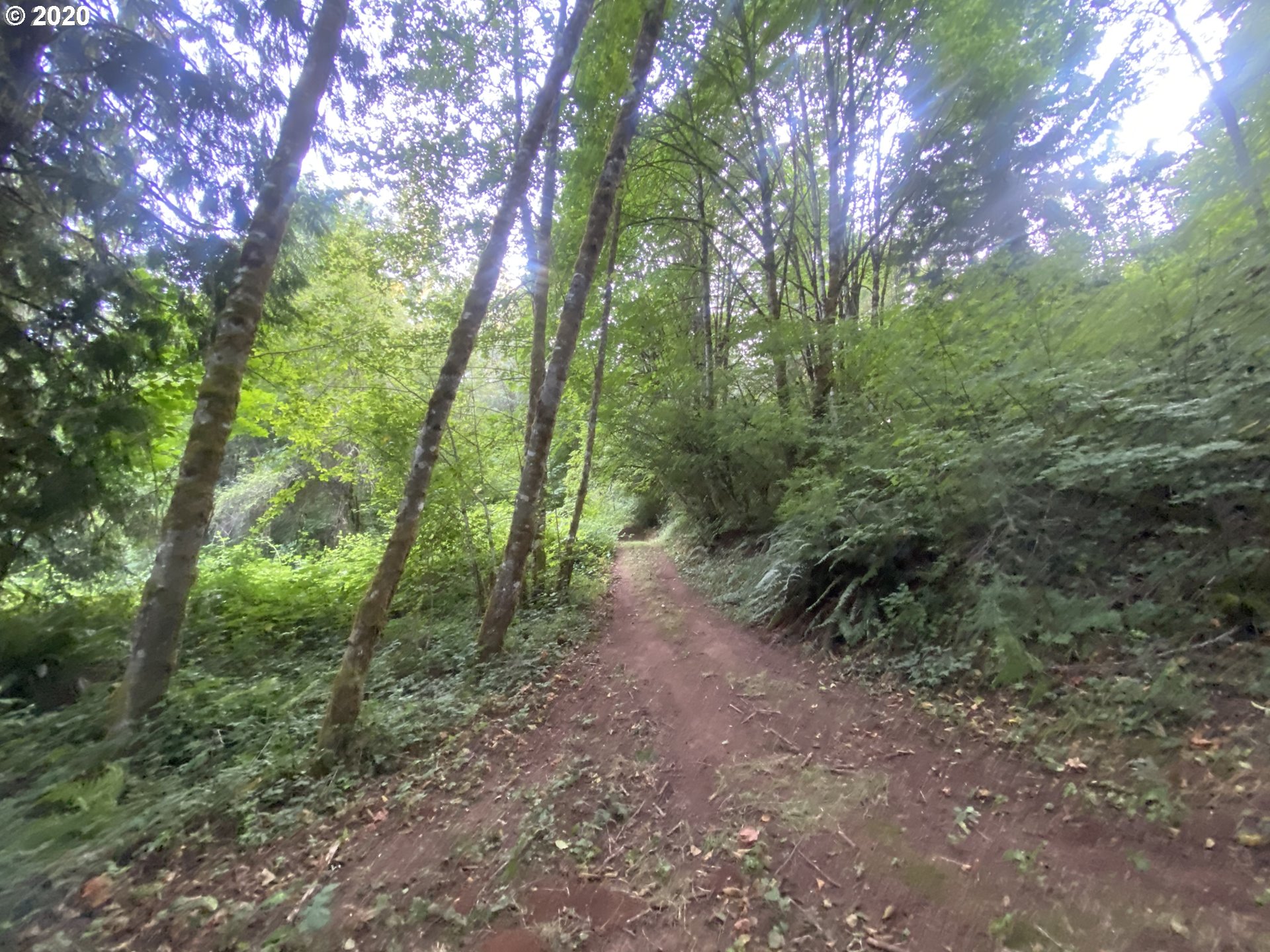Dart Creek Rd Street St. Helens, OR 97051 - Photo 23 of 30 Gallery Image 23