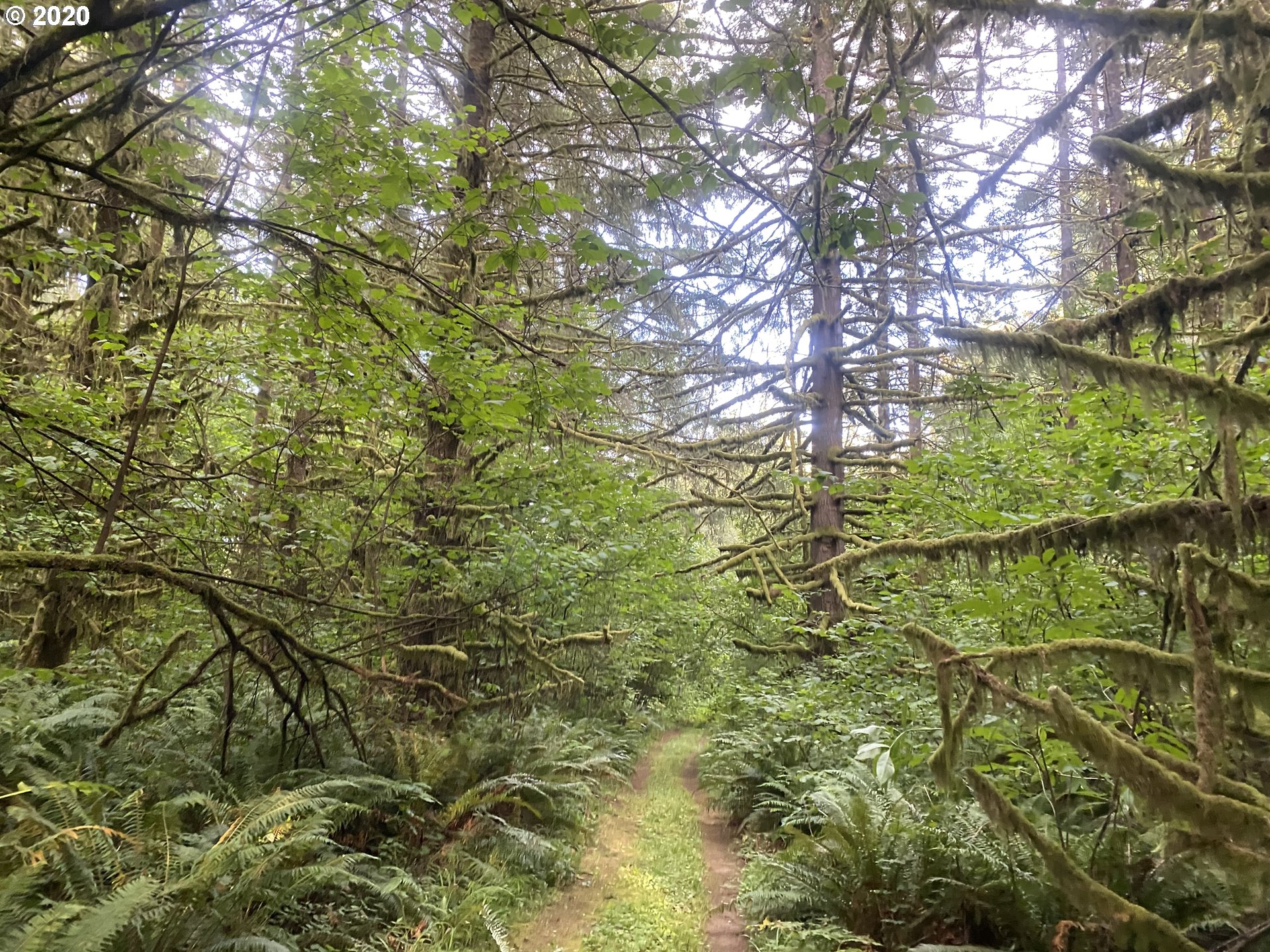 Dart Creek Rd Street St. Helens, OR 97051 - Photo 24 of 30 Gallery Image 24