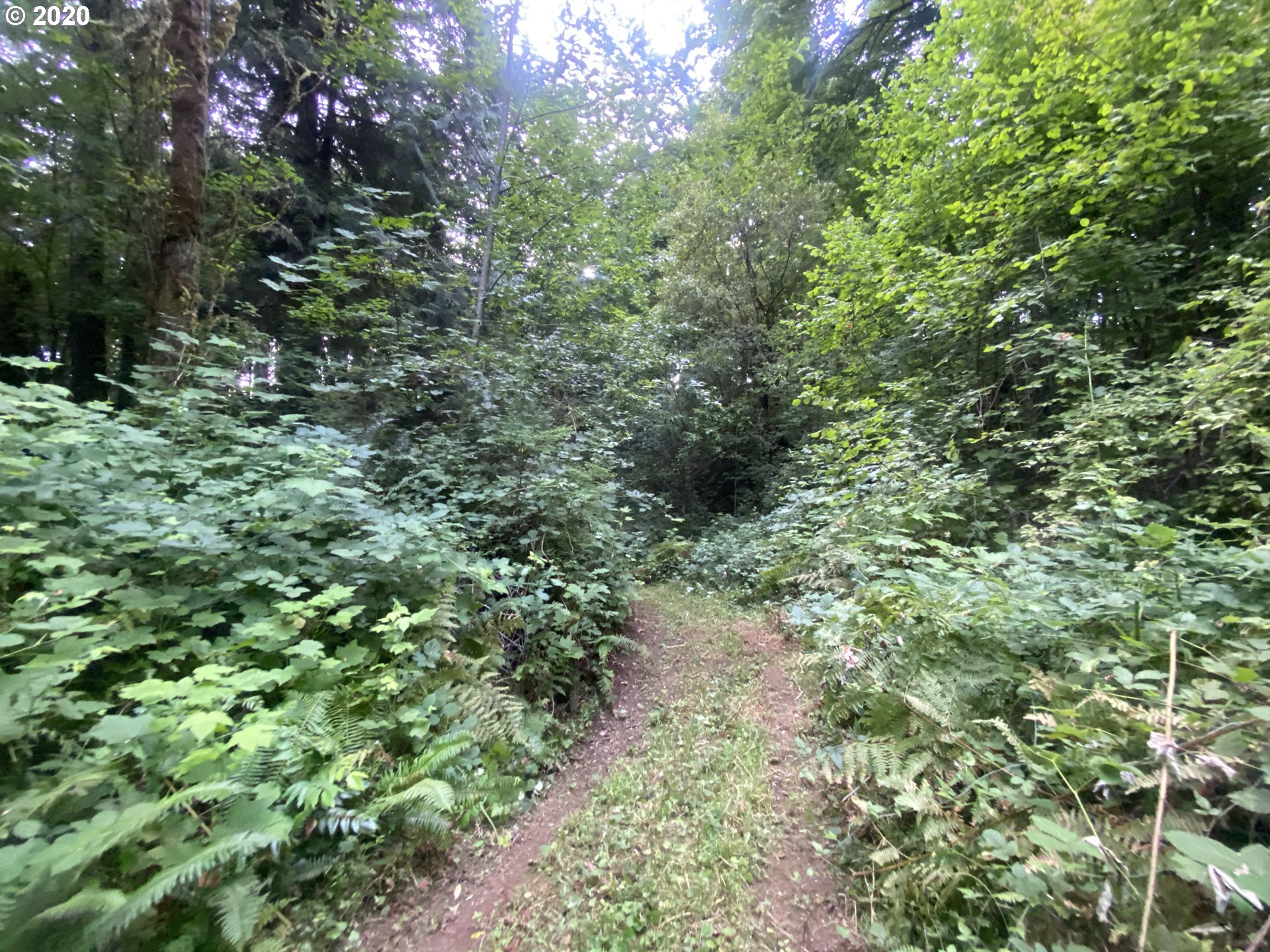 Dart Creek Rd Street St. Helens, OR 97051 - Photo 27 of 30 Gallery Image 27
