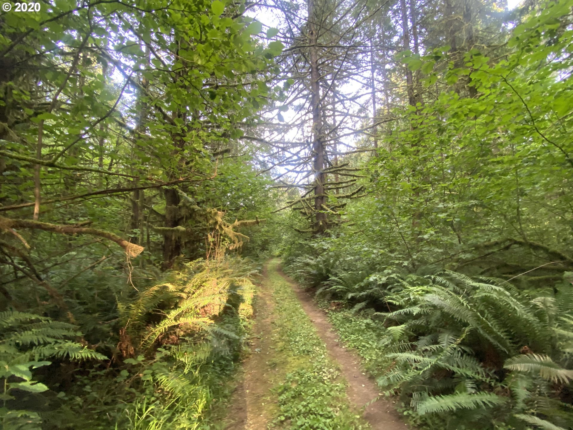 Dart Creek Rd Street St. Helens, OR 97051 - Photo 28 of 30 Gallery Image 28