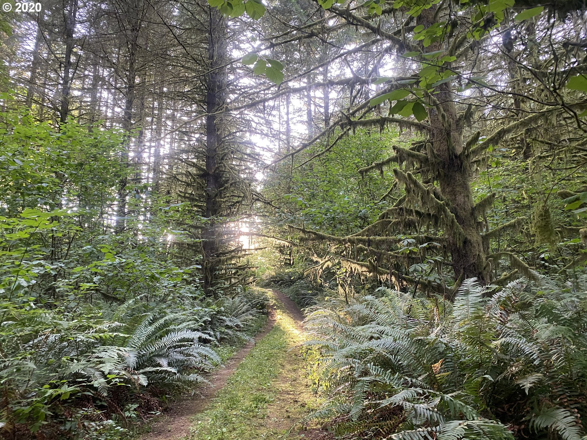 Dart Creek Rd Street St. Helens, OR 97051 - Photo 29 of 30 Gallery Image 29