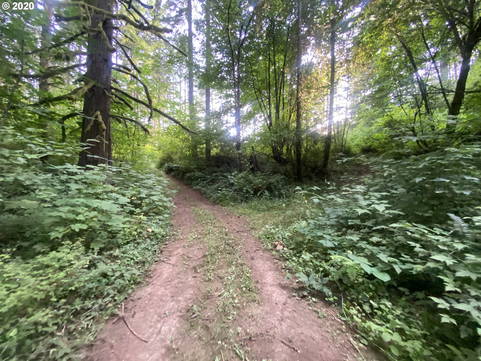 Dart Creek Rd Street St. Helens, OR 97051 - Photo 30 of 30 Gallery Image 30