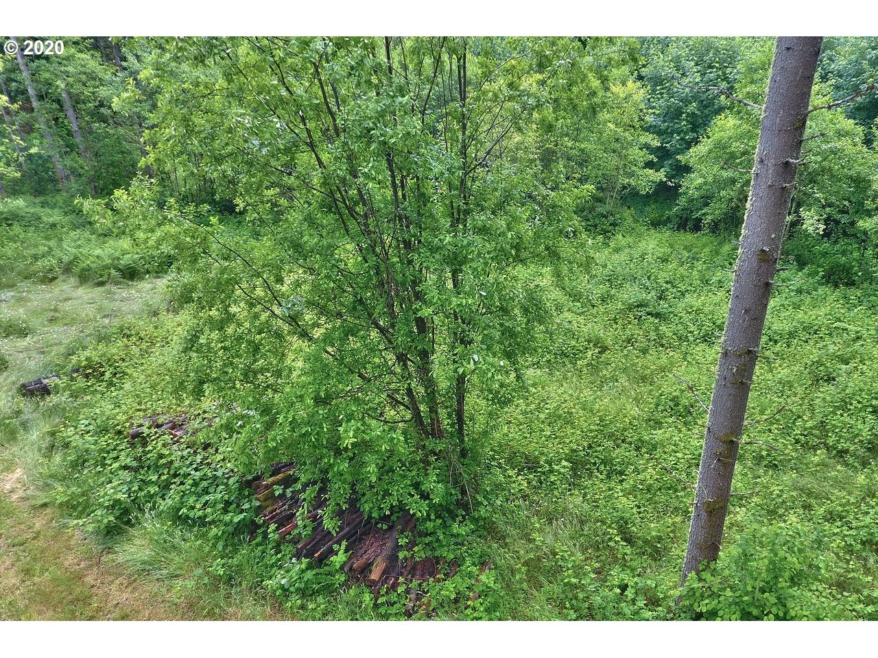 Dart Creek Rd Street St. Helens, OR 97051 - Photo 6 of 30 Gallery Image 6