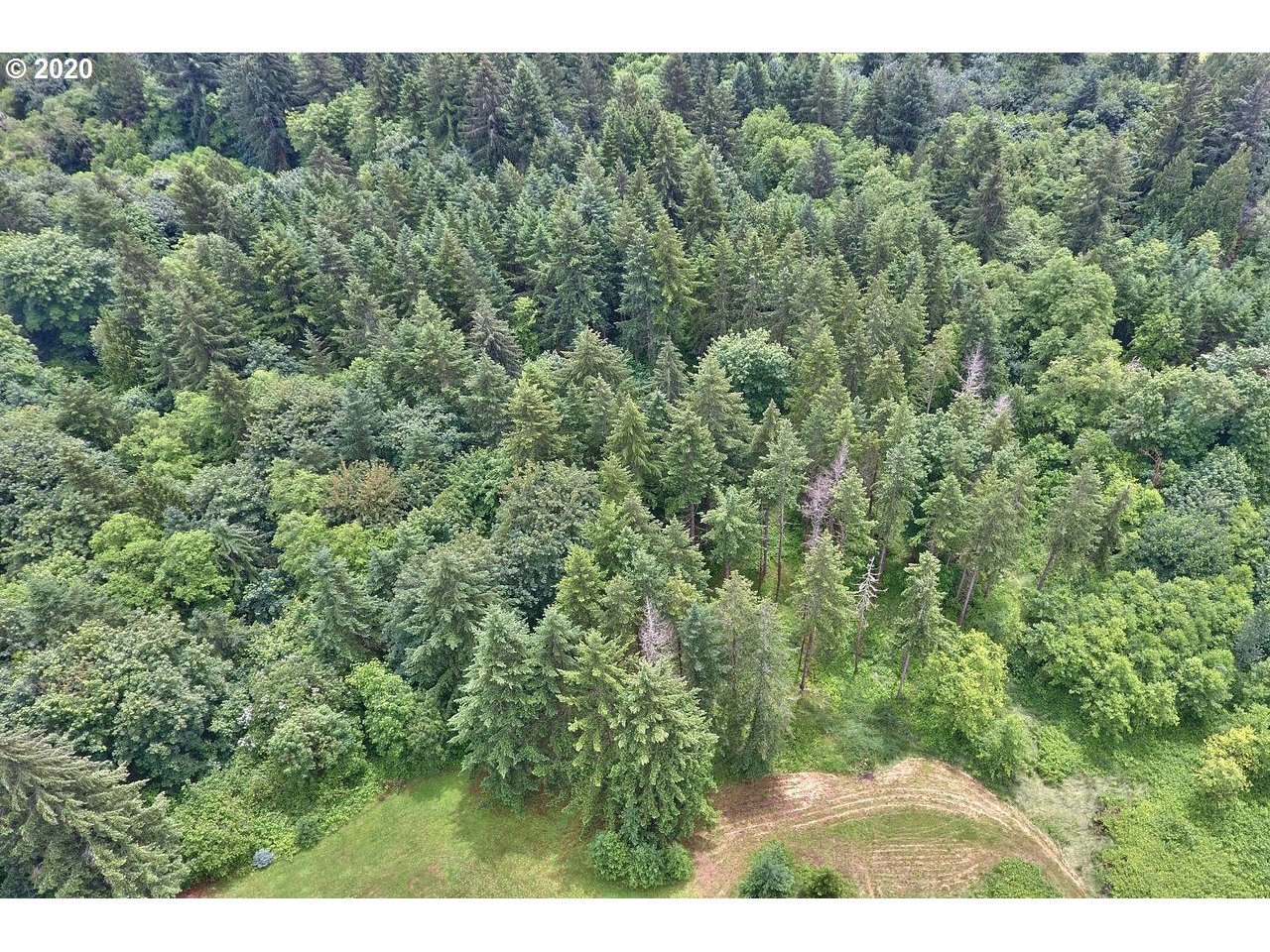 Dart Creek Rd Street St. Helens, OR 97051 - Photo 9 of 30 Gallery Image 9