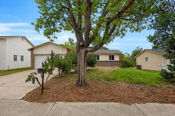 a house view with a garden space