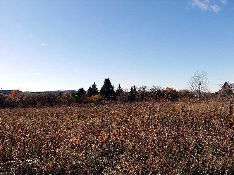 12-29 Lincoln Road Houlton, ME 04730 - Photo 20 of 25 Land.