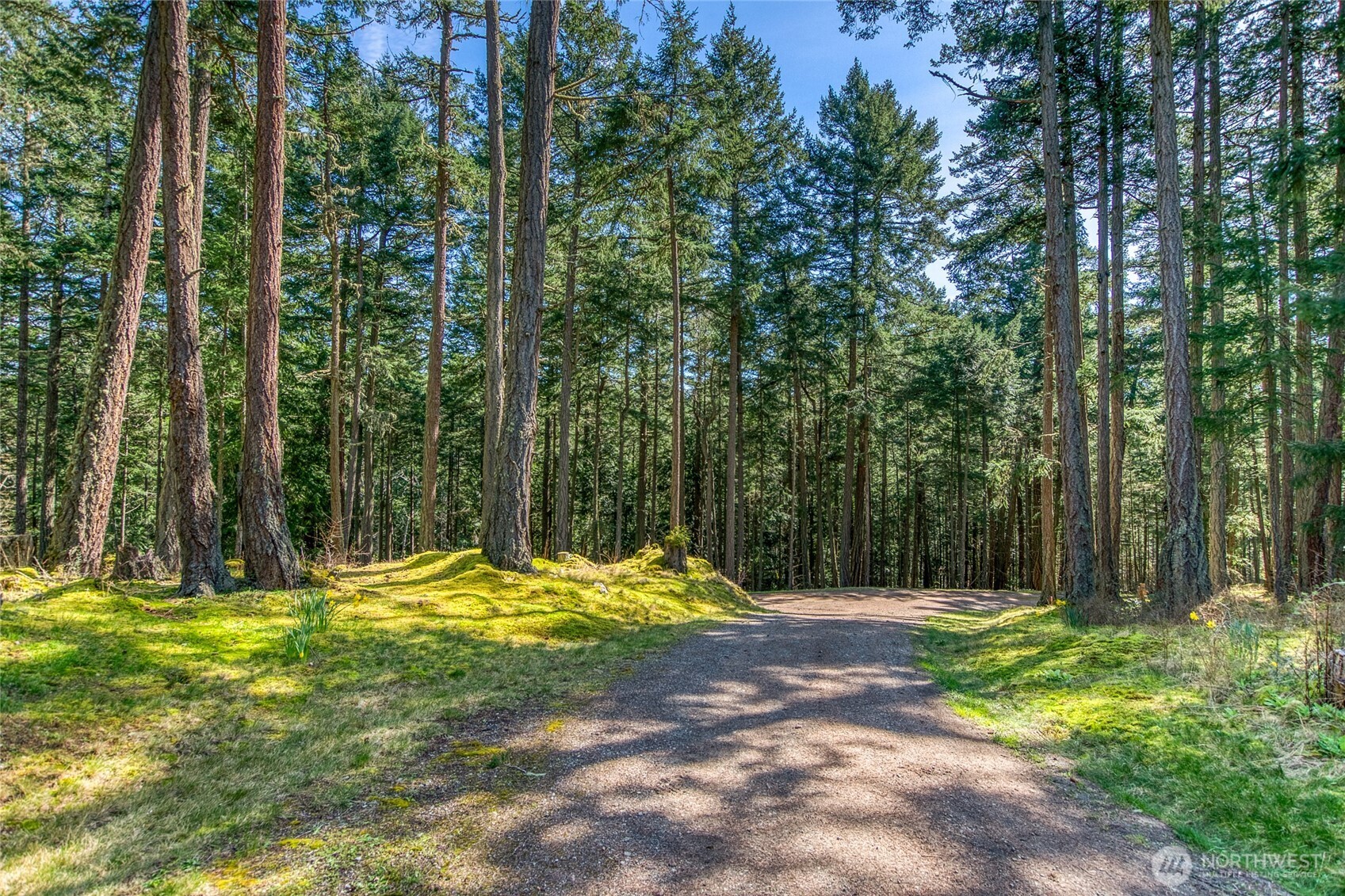 424 Logan's Run Road Orcas Island, WA 98245 - Photo 31 of 39