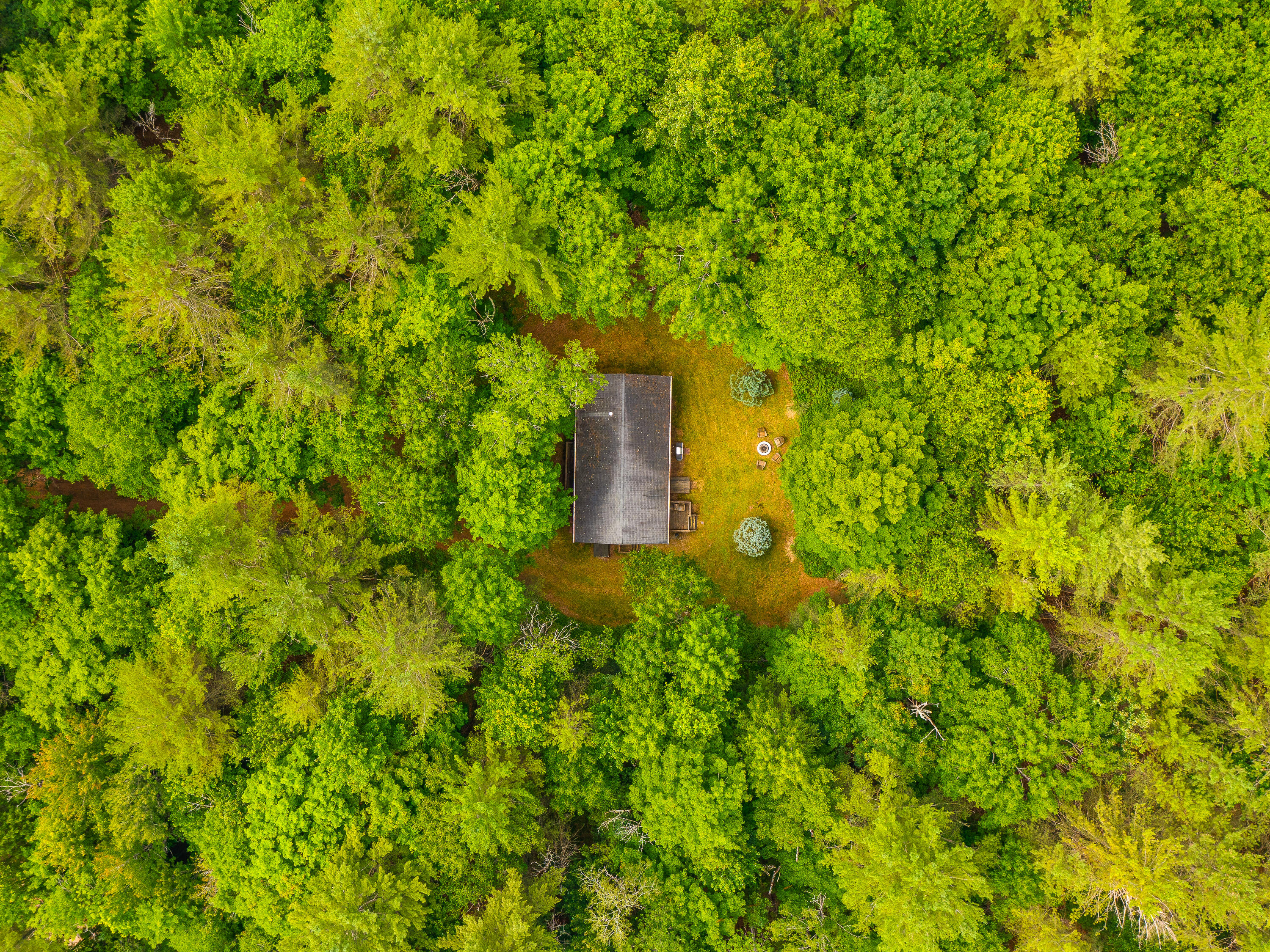 287 Kickerville Road Long Lake, NY 12847 - Photo 4 of 50 Gallery Image 4