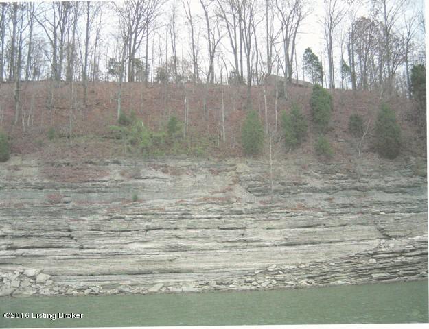 1712 Bailey Point Road Scottsville, KY 42164 - Photo 5 of 5 lt 19 lake view