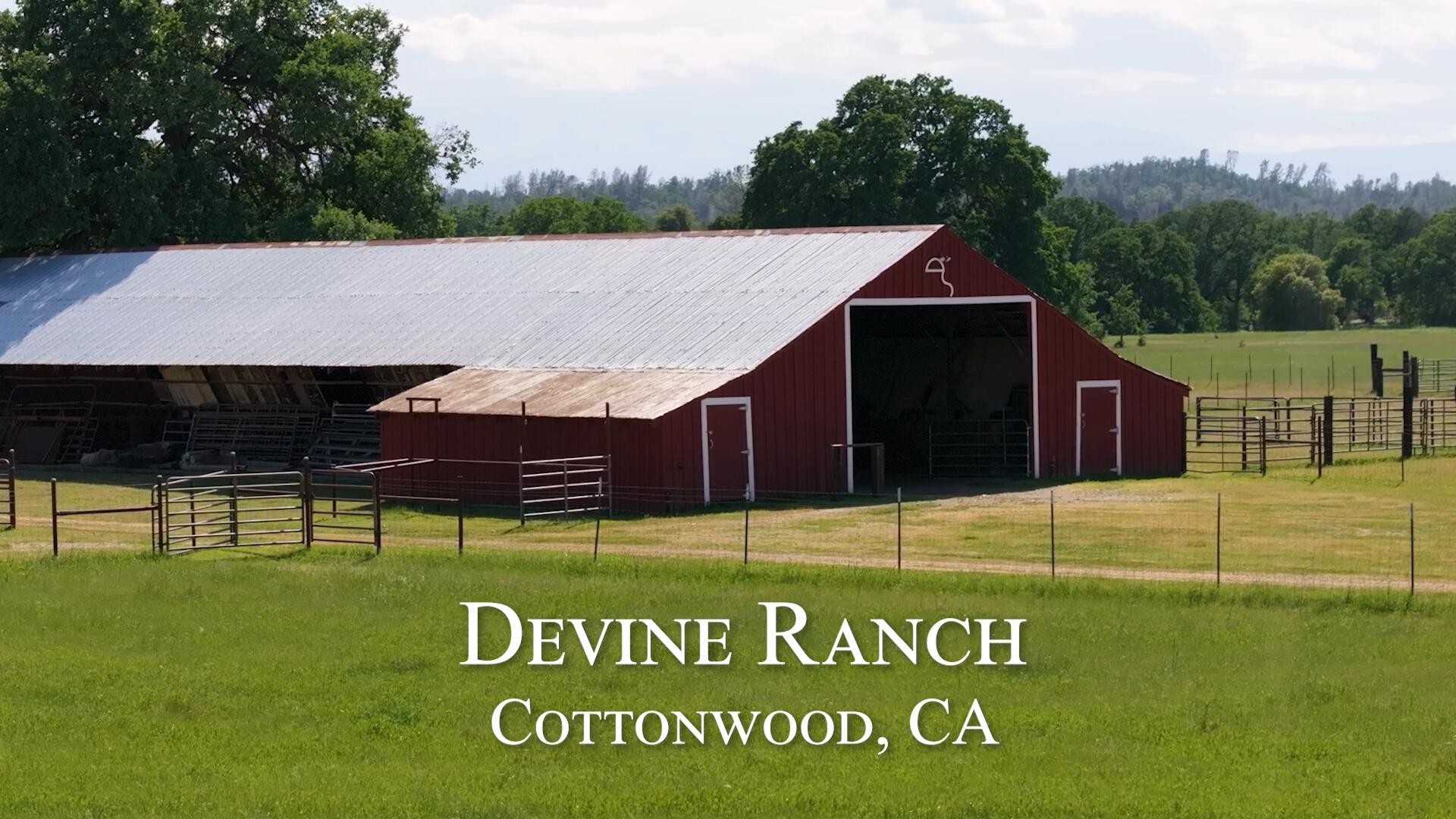 275 ac Devine Ranch