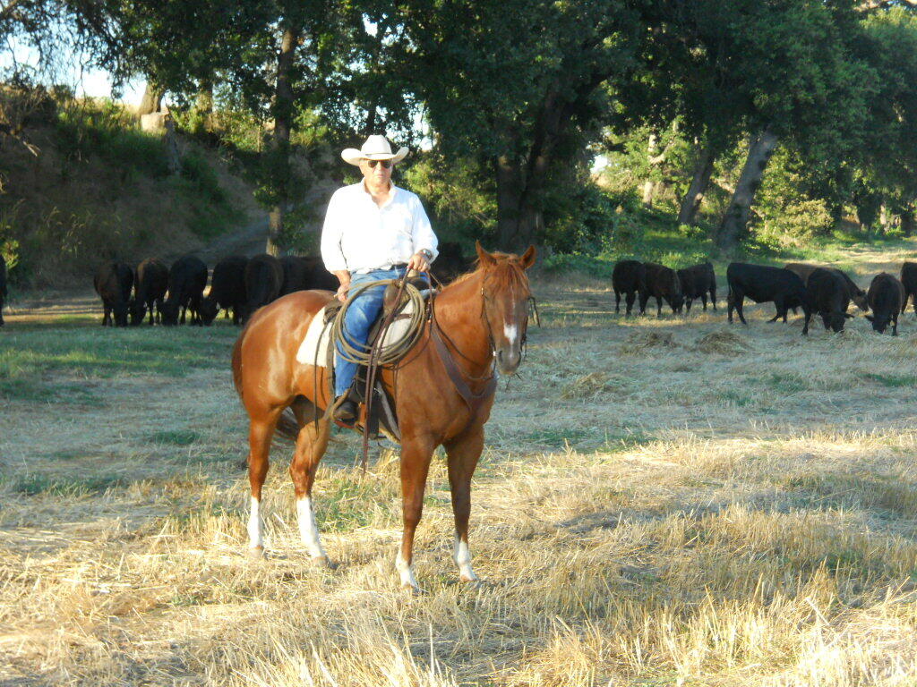16857 Gas Point Road Cottonwood, CA 96022 - Photo 33 of 40 DSCN3379