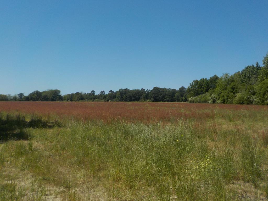 35.92 Harrison Road Dothan, AL 36301 - Photo 1 of 1