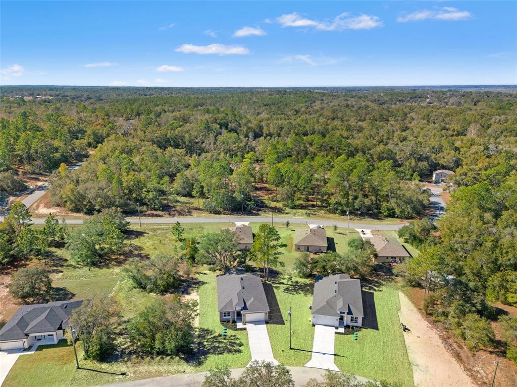 11810 North Providence Way Citrus Springs, FL 34433 - Photo 4 of 53 a view of city and ocean