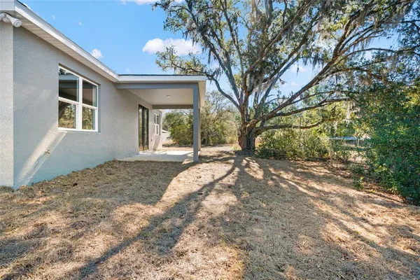 a view of a room with a large tree