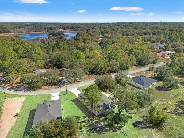 an aerial view of residential houses with outdoor space and trees