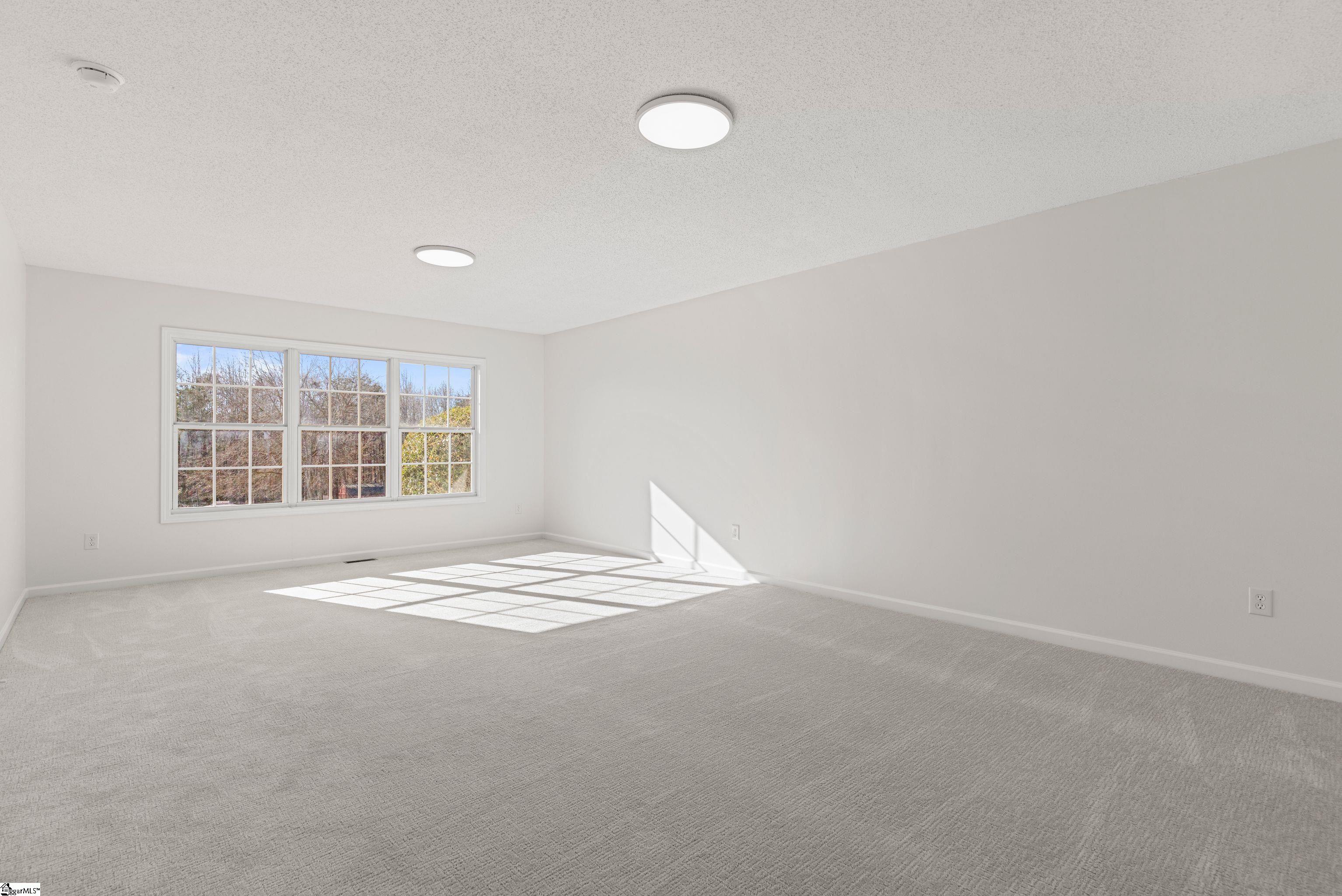 314 Cane Pole Walk Inman, SC 29349 - Photo 36 of 49